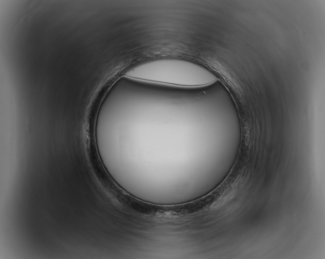 X0000094770634200711160831