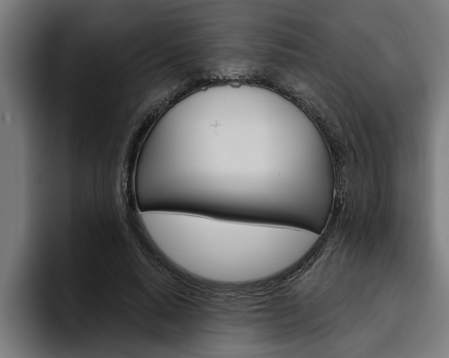 X0000094770640200711160831