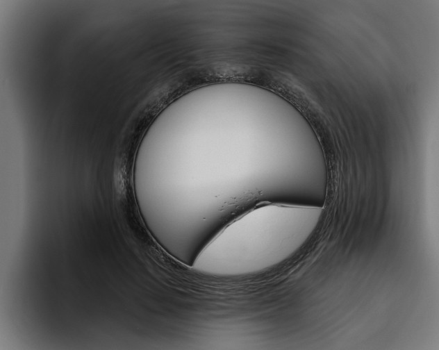 X0000094770644200711160831