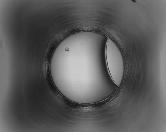 X0000094770645200711160831