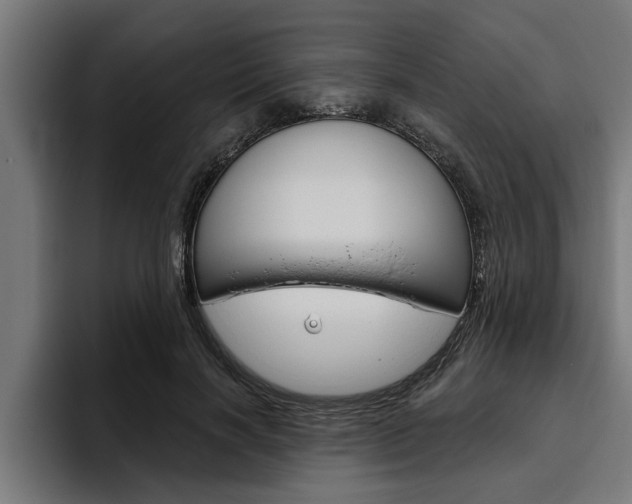 X0000094770646200711160831