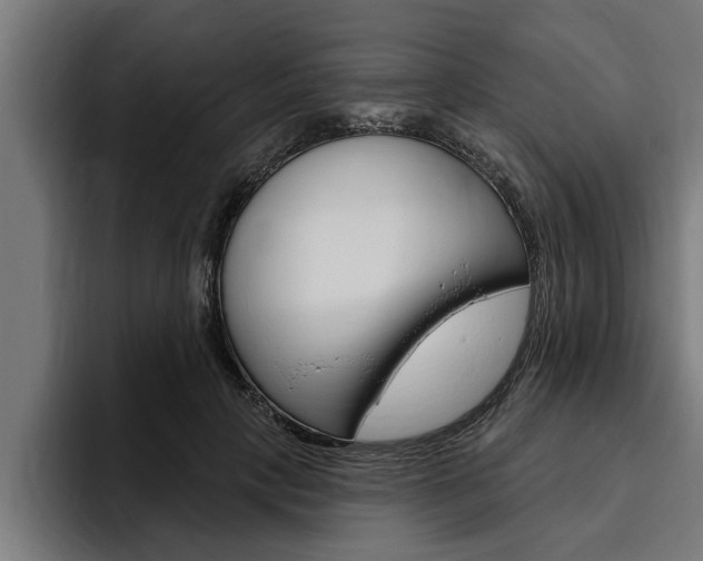 X0000094770649200711160831