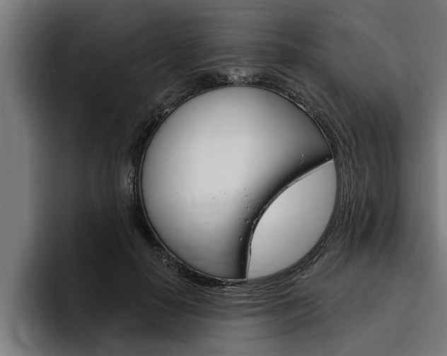 X0000094770650200711160831