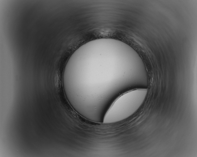 X0000094770651200711160831