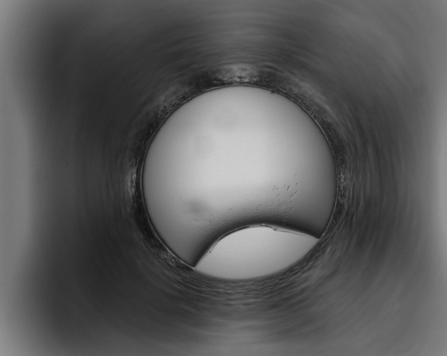 X0000094770652200711160831