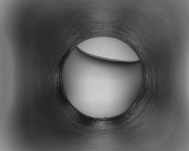 X0000094770657200711160831