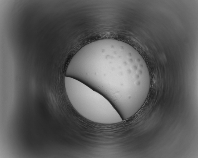 X0000094770659200711160831