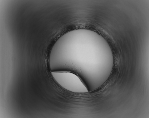 X0000094770661200711160831