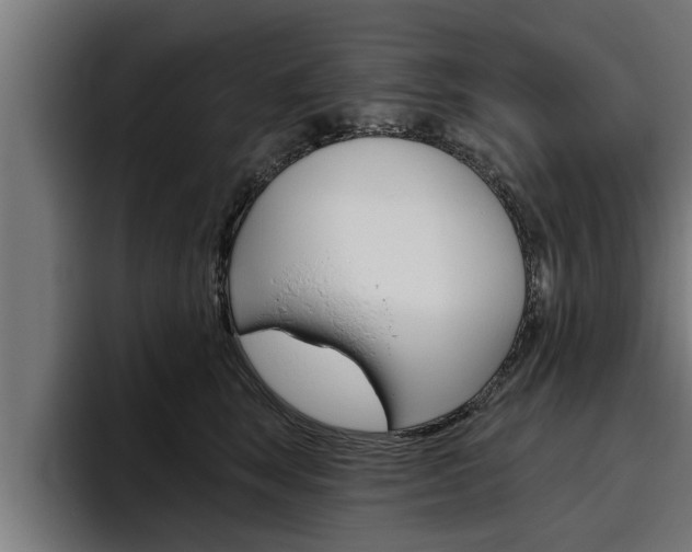 X0000094770663200711160831
