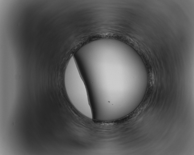 X0000094770664200711160831