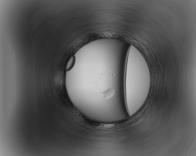 X0000094770665200711160831