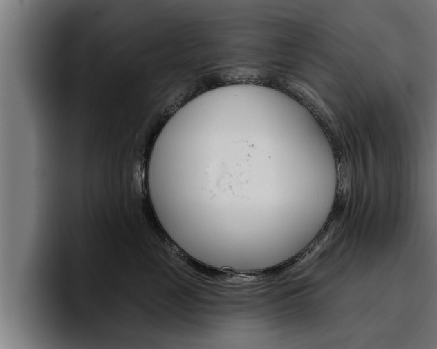 X0000094770669200711160831