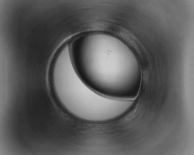 X0000094770676200711160831