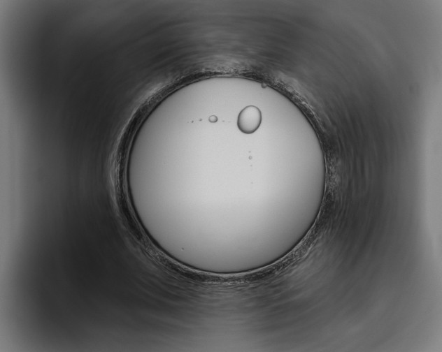 X0000094770679200711160831