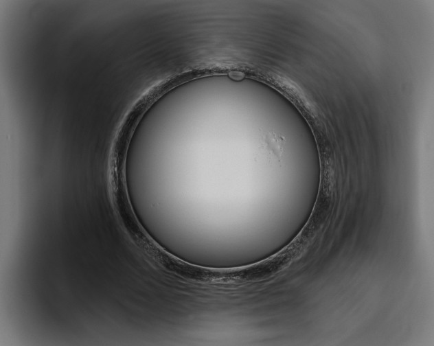 X0000094770680200711160831
