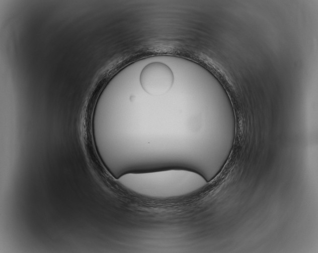 X0000094770682200711160831