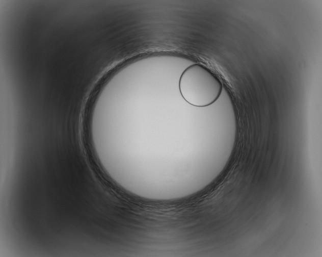 X0000094770684200711160830