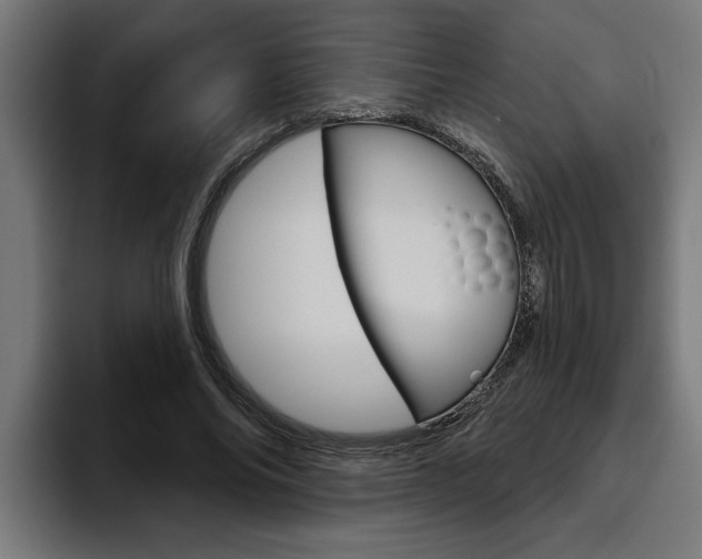 X0000094770686200711160830