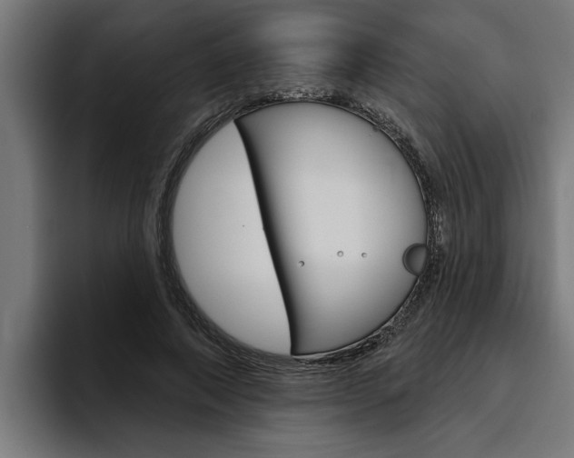X0000094770690200711160830