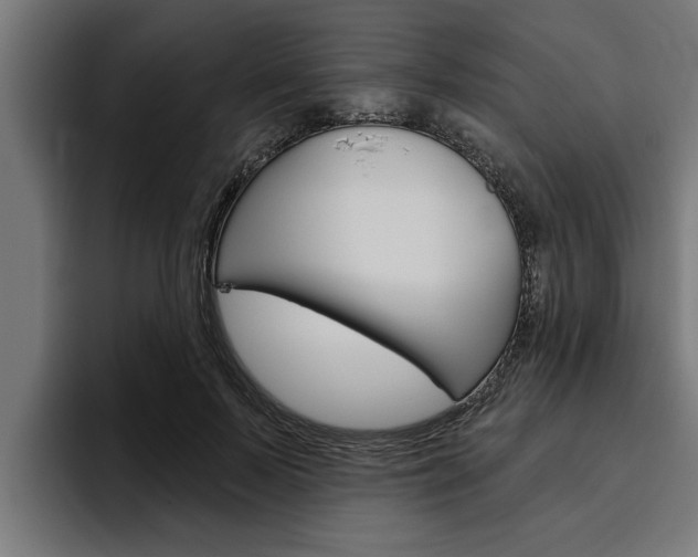 X0000094770695200711160830