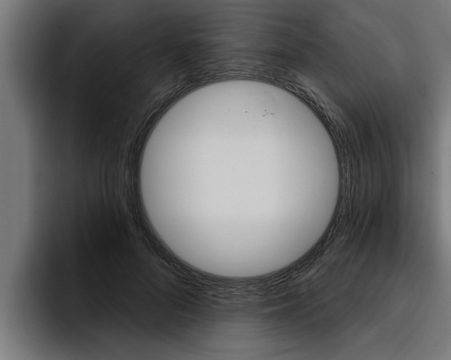 X0000094770696200711160830