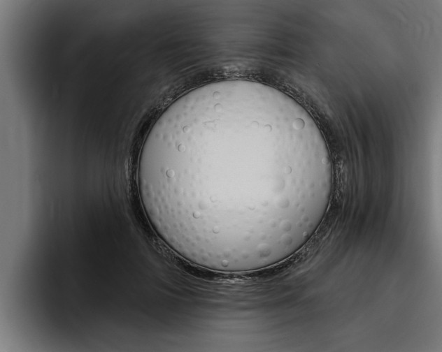 X0000094770698200711160830