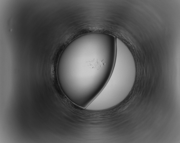 X0000094770700200711160830