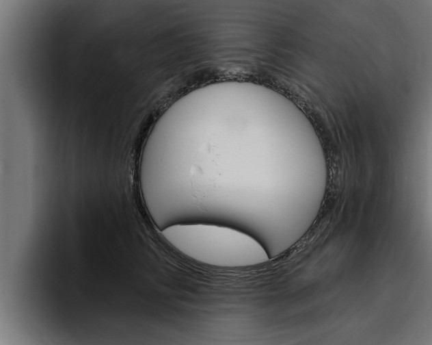 X0000094770710200711160830