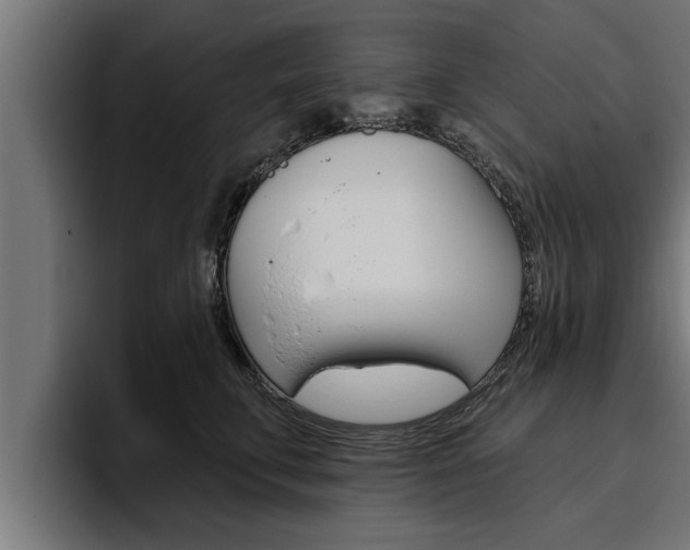 X0000094770711200711160830