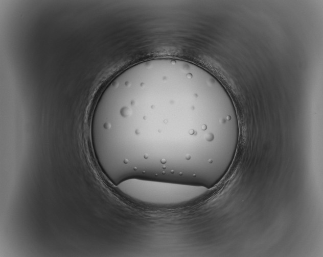 X0000094770721200711160829