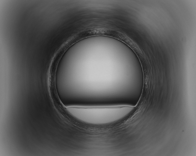 X0000094770722200711160829