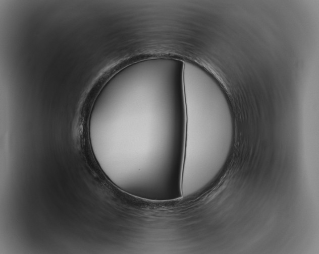 X0000094770723200711160829