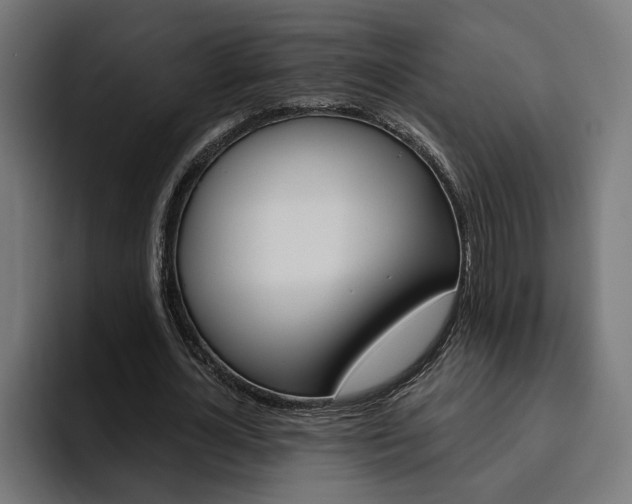 X0000094770724200711160829