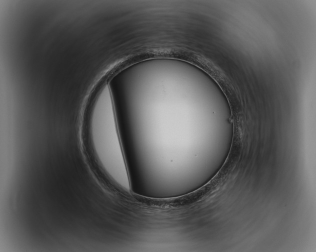 X0000094770728200711160829