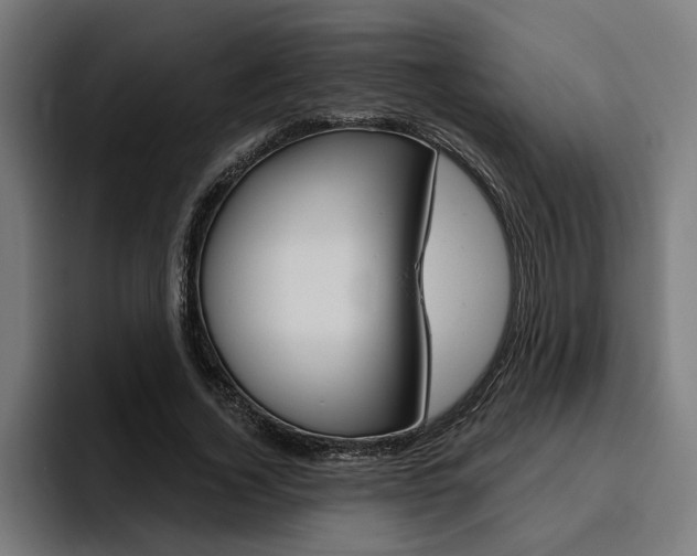 X0000094770732200711160830