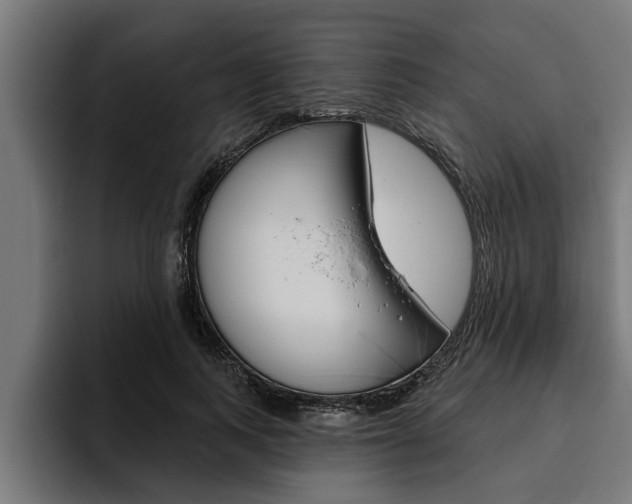 X0000094770743200711160830