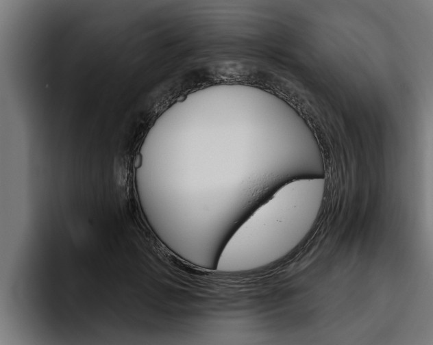 X0000094770749200711160830