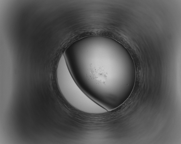 X0000094770750200711160830