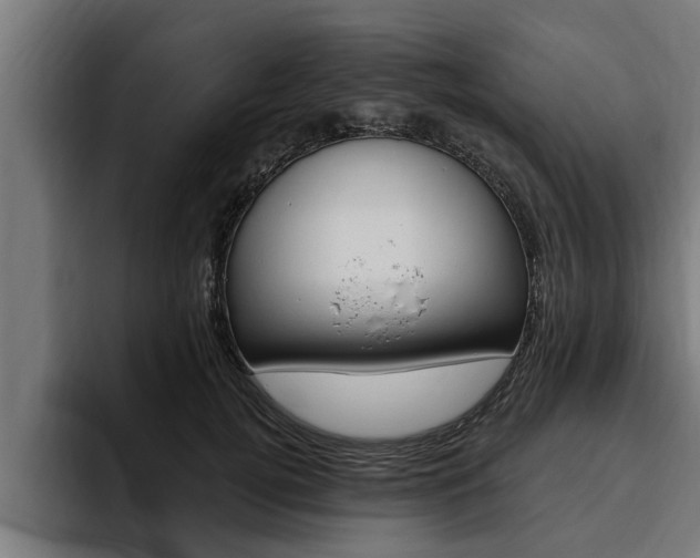 X0000094770752200711160830