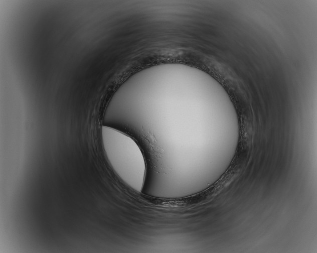 X0000094770758200711160830