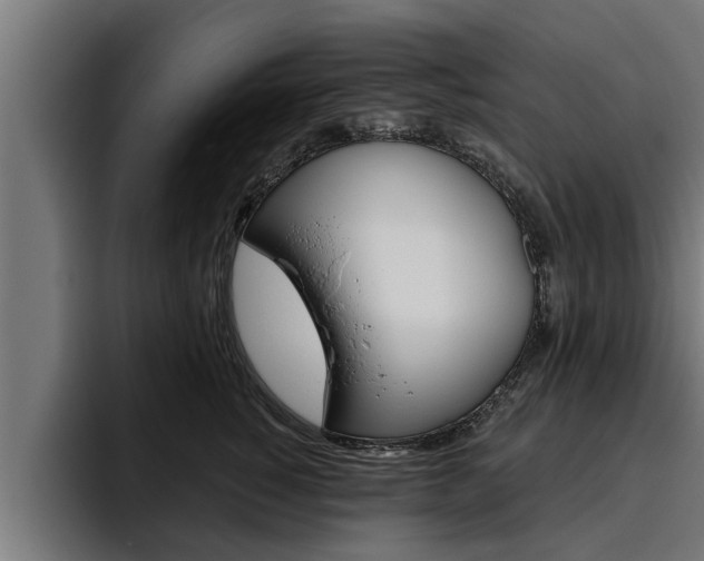 X0000094770760200711160830