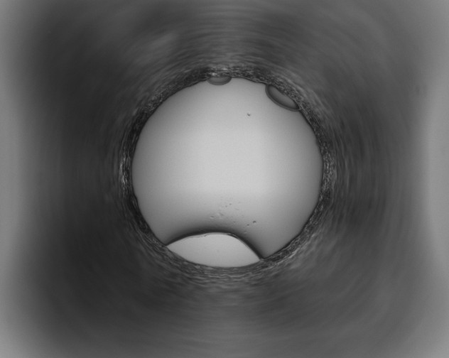 X0000094770770200711160829