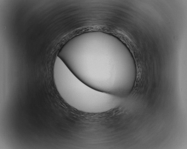 X0000094770773200711160829
