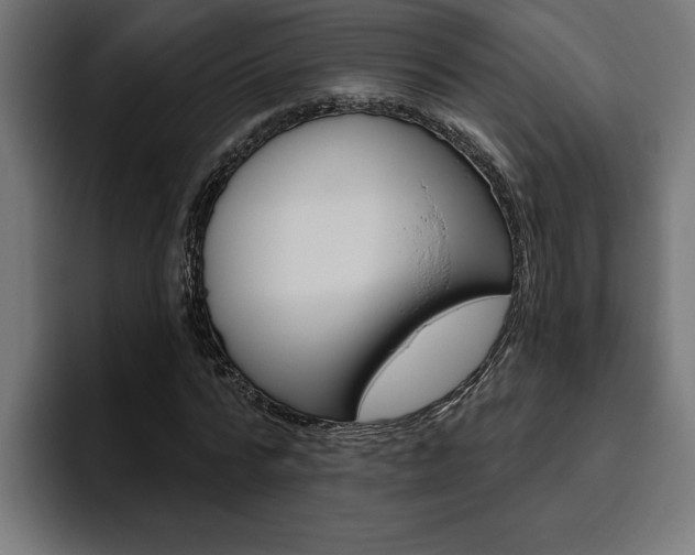 X0000094770776200711160829