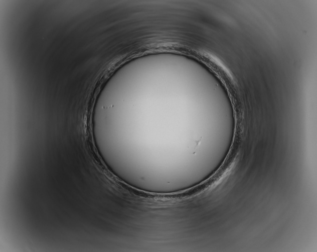X0000094770777200711160829