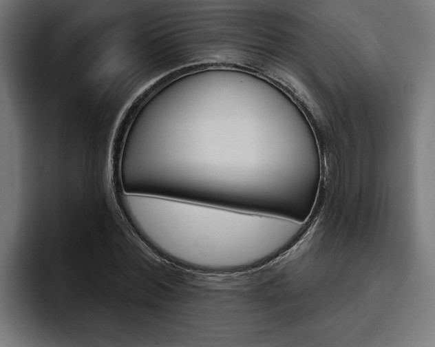 X0000094770780200711160829