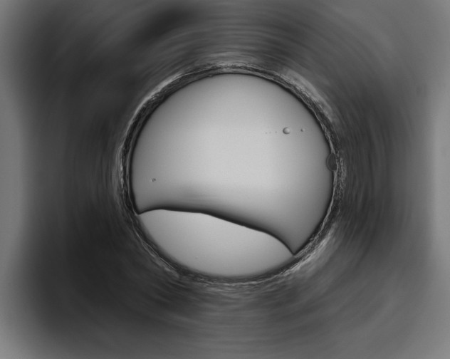 X0000094770782200711160829