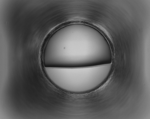 X0000094770783200711160829