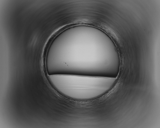 X0000094770784200711160829