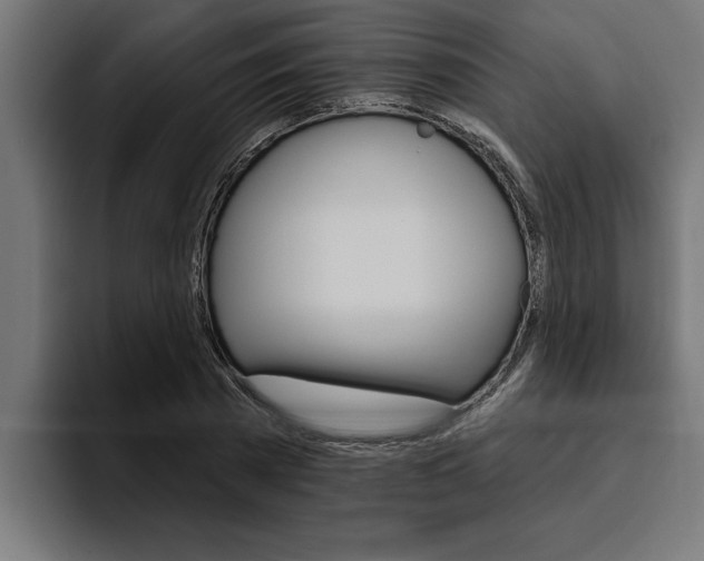 X0000094770785200711160829